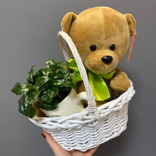 Кофе Арабика с Игрушкой Мишка в плетеной корзине