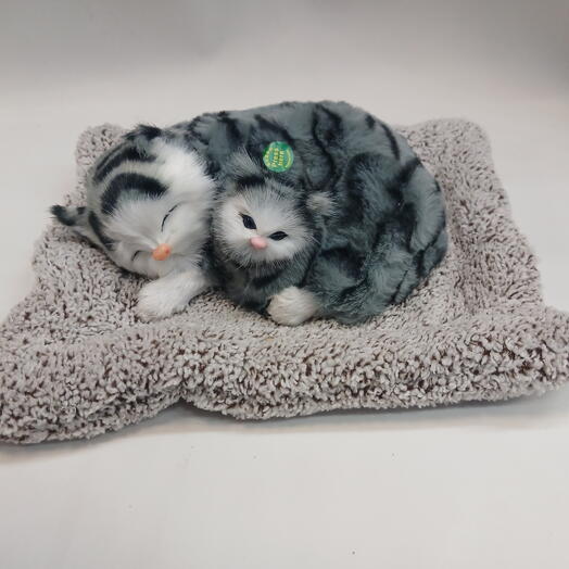 Кошечка с котёнком