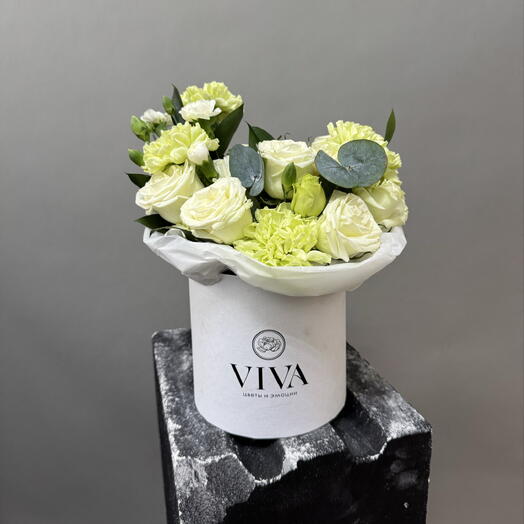Viva box · Гармония свежести S
