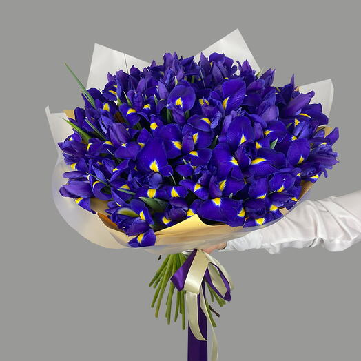 Ramo de iris 49 piezas