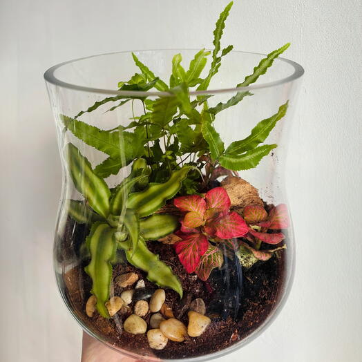 Florarium in a glass vase