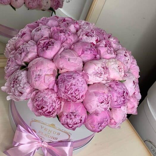 51 розовый пион в коробке