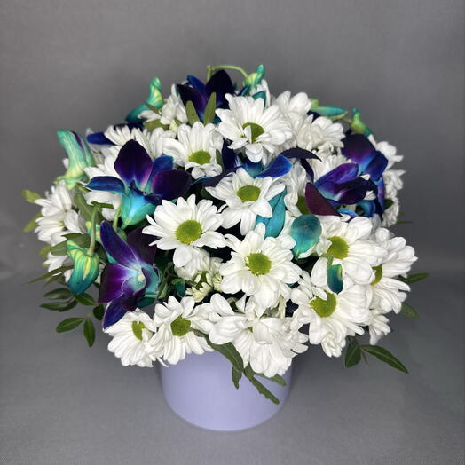 Коробочка с космическими цветами и ромашками