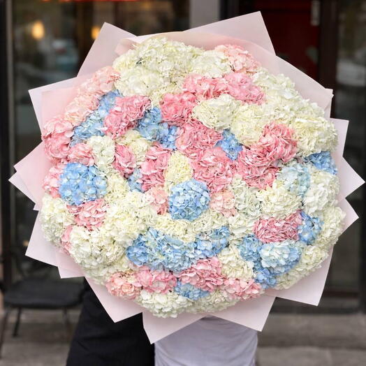 Bouquet 51 hydrangeas