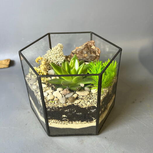 Флорариум с суккулентом Филипп Киркоров