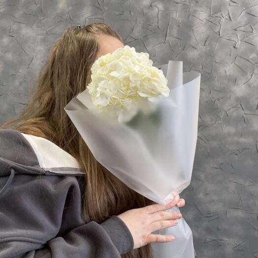 Белая гортензия