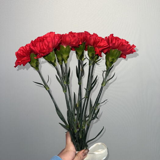 Гвоздика красная 10шт