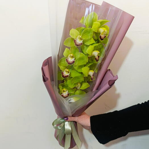 Орхидея зелёная в элегантной упаковке 💐💐💐