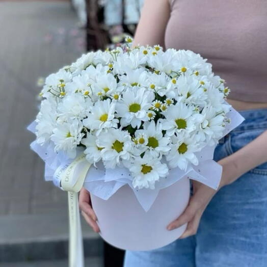 Хризантема в коробке