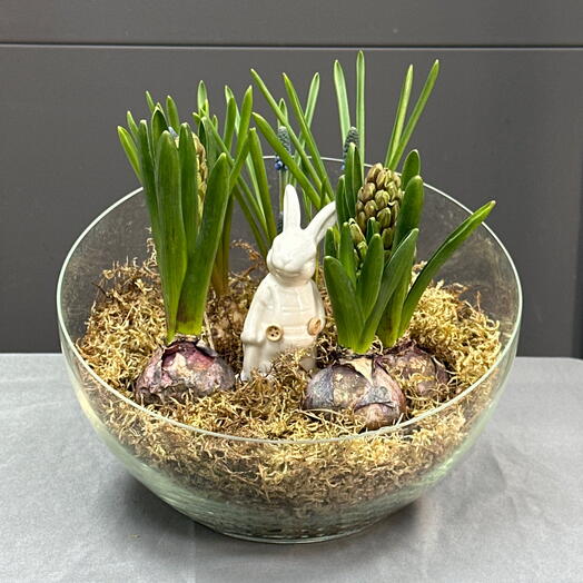 Мини садик « Весенние первоцветы»