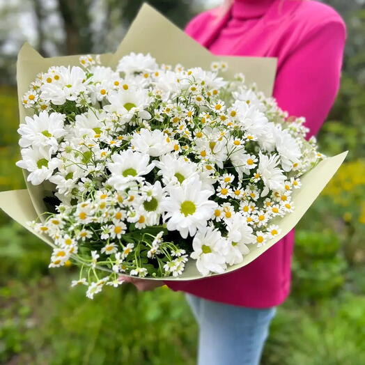 Ромашки 💐