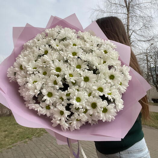 ~151 ромашка