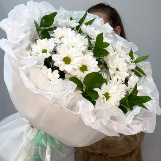 Ромашковая хризантема с рускусом 🌿