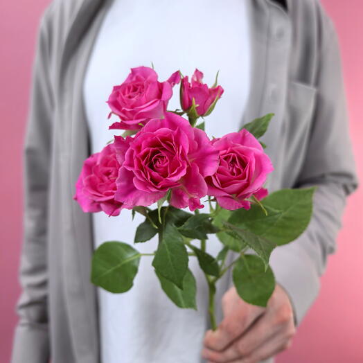 Цветы поштучно. Кустовая роза розовая Лавли Лидия Lovely Lidia Кения 1 штука