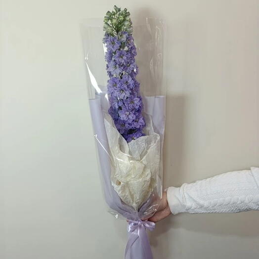Букет из 1 Дельфиниума