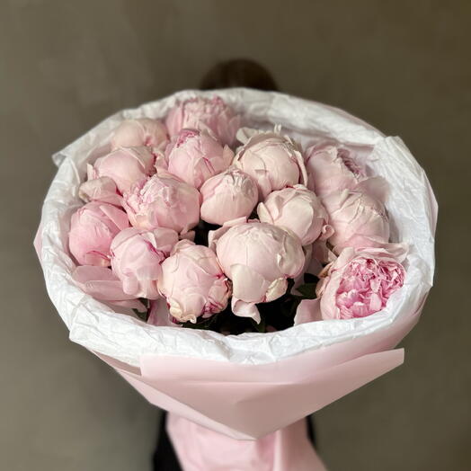 15 нежно-розовых пионов 🌸 Крупные бутоны, похожи на «Сару Бернар»
