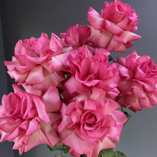 💖 Розы французские Лола 7 шт