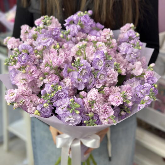 Маттиола 15 шт