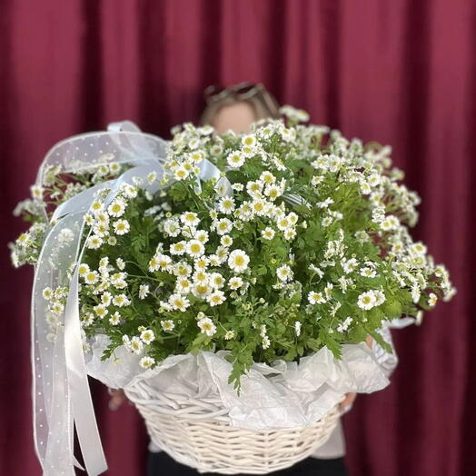 Большая корзина ромашек