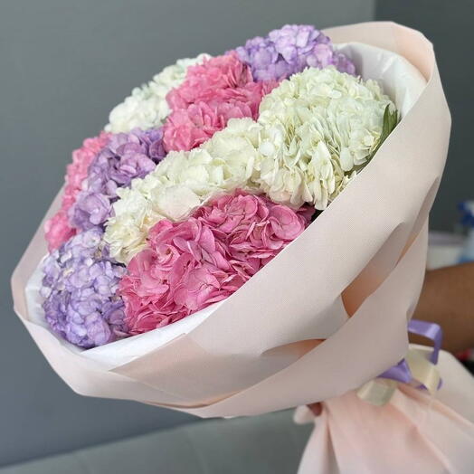 Maison Hydrangea Mix 🌸