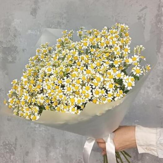 Букет из Камиллы ромашки