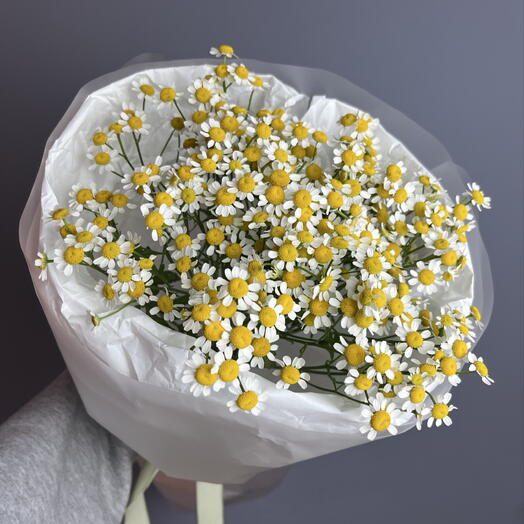 Букет ромашек (7 шт)