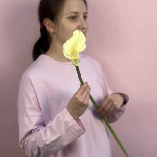 Калла