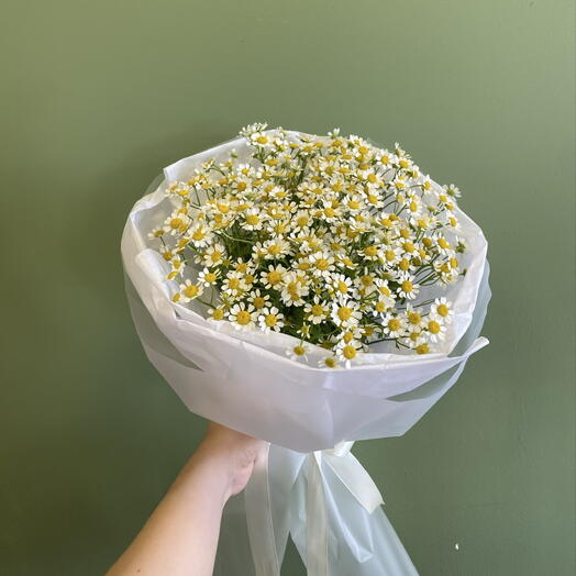 Букет из 13 танацетумов