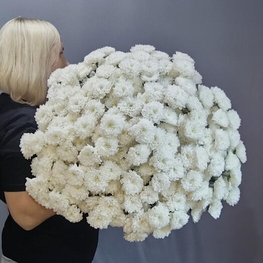 Букет из 45 белых кустовых хризантем