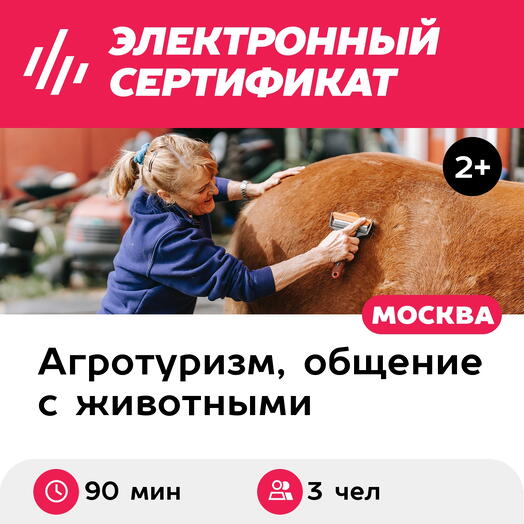 Подарочный сертификат Экскурсия в мир лошадей и мастер-класс для 1 взрослого и 2 детей