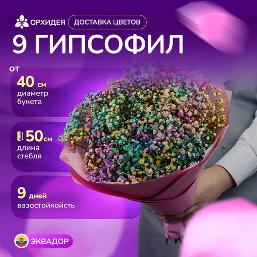 9 гипсофил микс