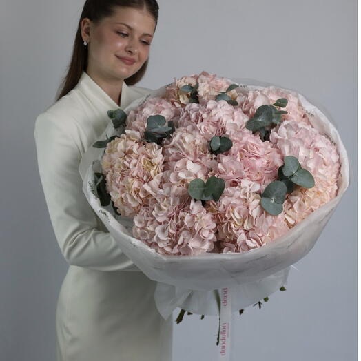 Гортензия