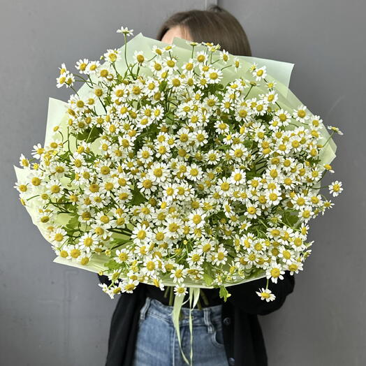 Букет Кустовых Ромашек 15 шт в зелёной упаковке 💚