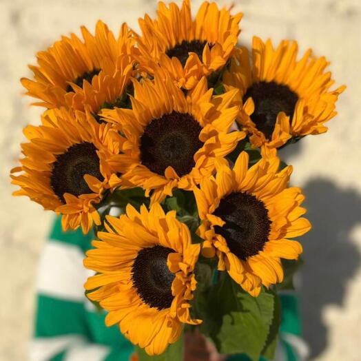Букет из 7 подсолнух 🌻