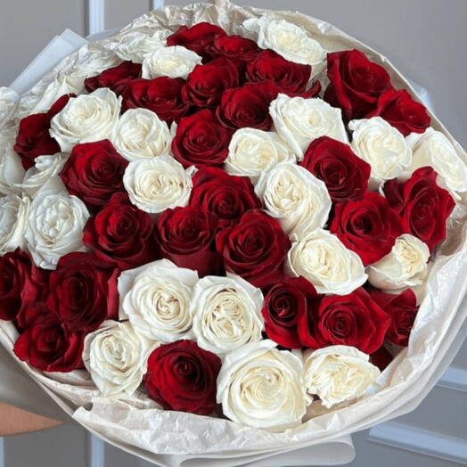51 red-and-white Ecuador roses