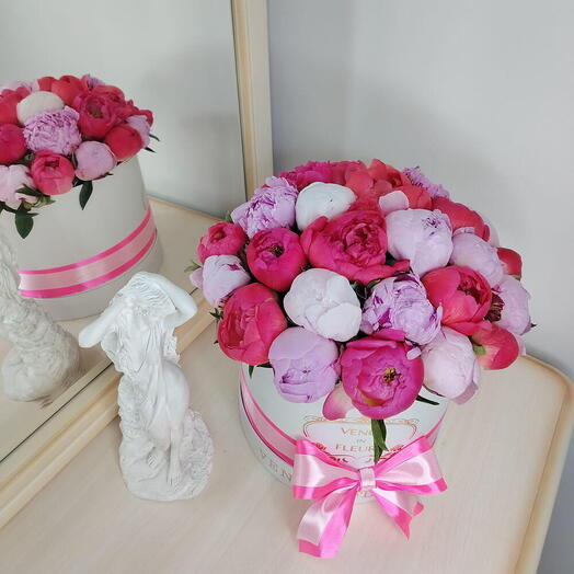 Коралловые и розовые пионы в коробке - 25 шт