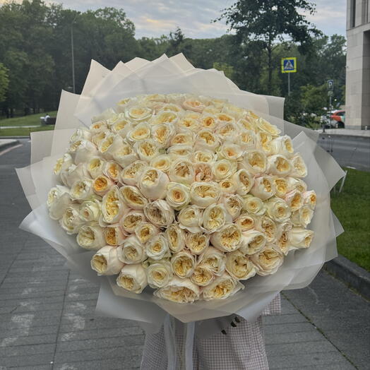 101 пионовидная Роза