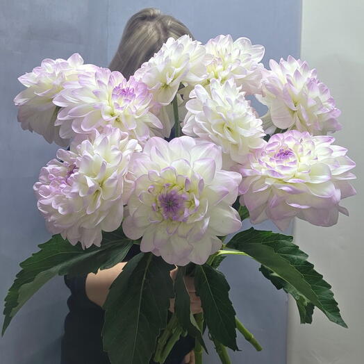 Букет из георгин 9, 9