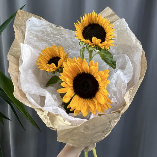 Яркий букет подсолнухов в крафте