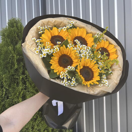 Подсолнухи 🌻