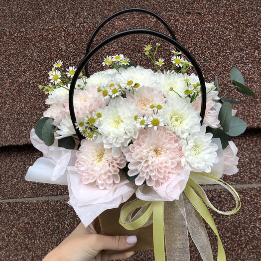 Лучик ромашки 🌼