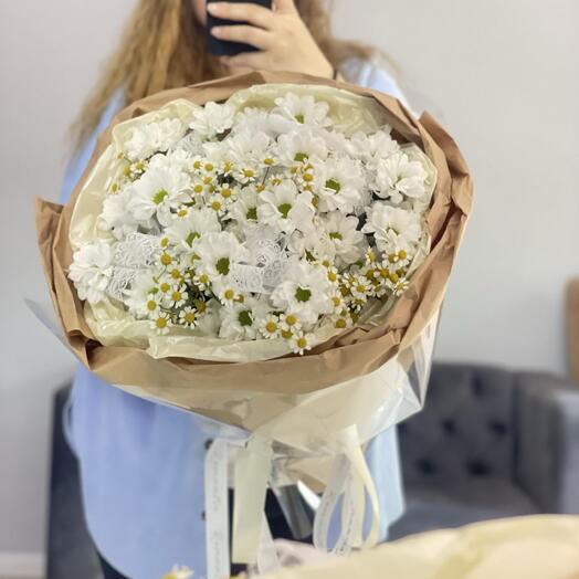 Ромашки микс ( танацетум и хризантема)