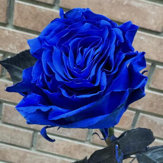 Роза Blue 60 см