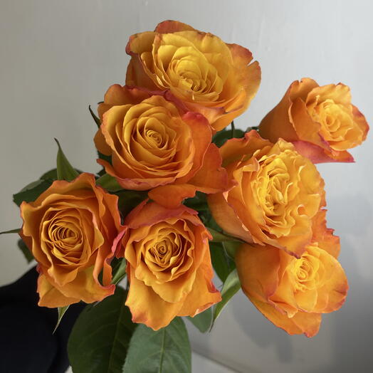 Розы рыжие 🧡7