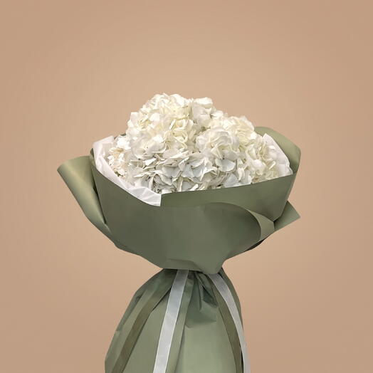 5 белых гортензий Pure White