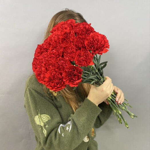 Пачка красных гвоздик (20шт)