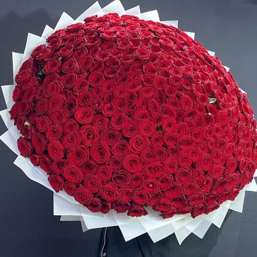501 роза красная 100 см Эквадор