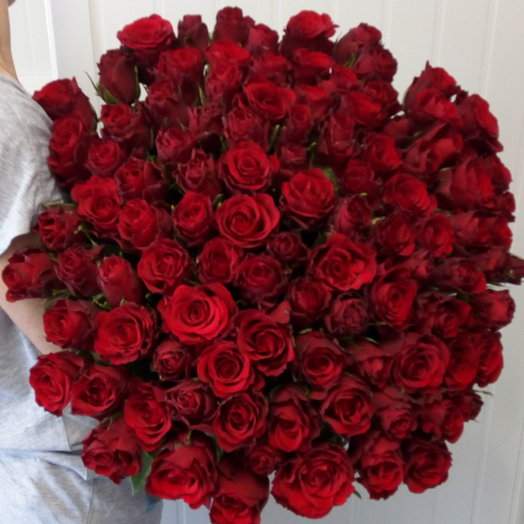 101 роза red