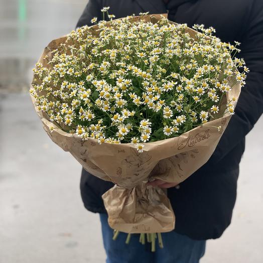 Ромашки
