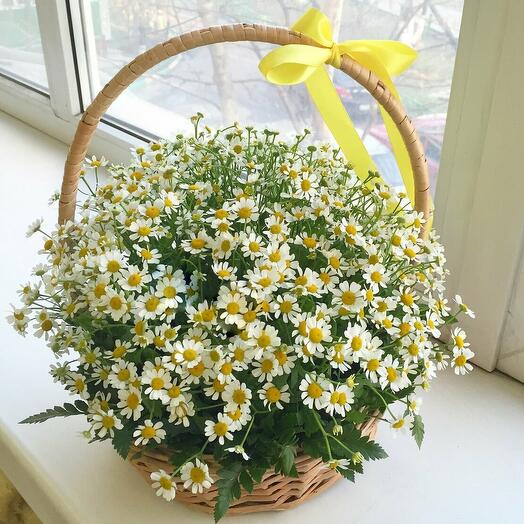Корзина с ромашками